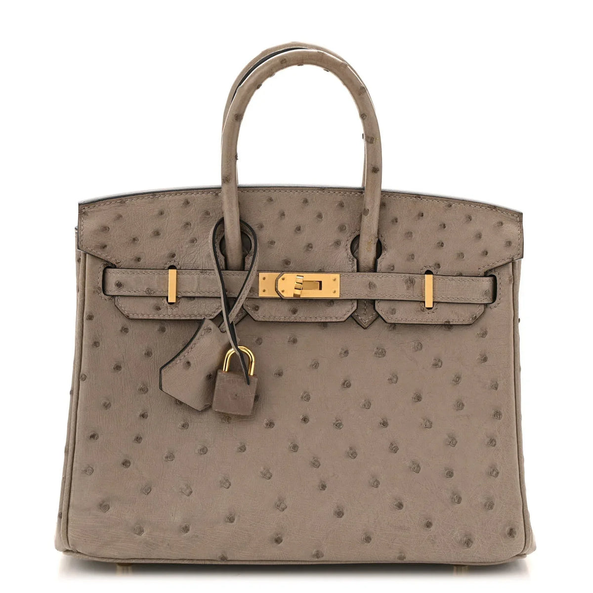 Ostrich Birkin 25 Gris Tourterelle