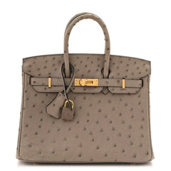 Ostrich Birkin 25 Gris Tourterelle