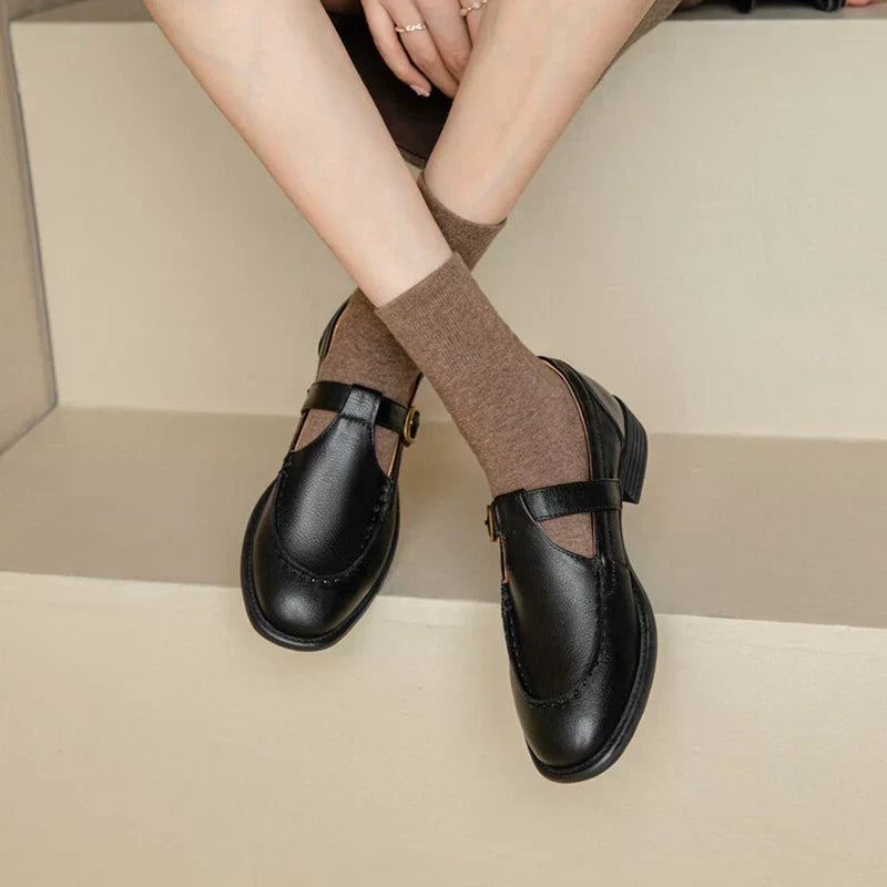 Women's Retro T-Strap Mary Jane Shoes | Round Toe Low Heels